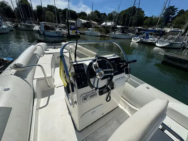 Bsc Rib Tender 66