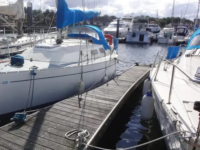 Contessa 28