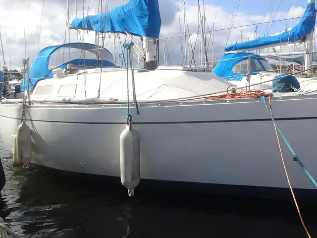 Contessa 28