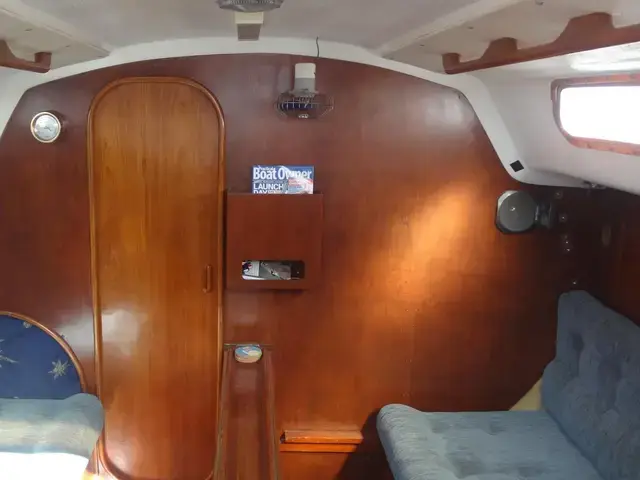 Contessa 28