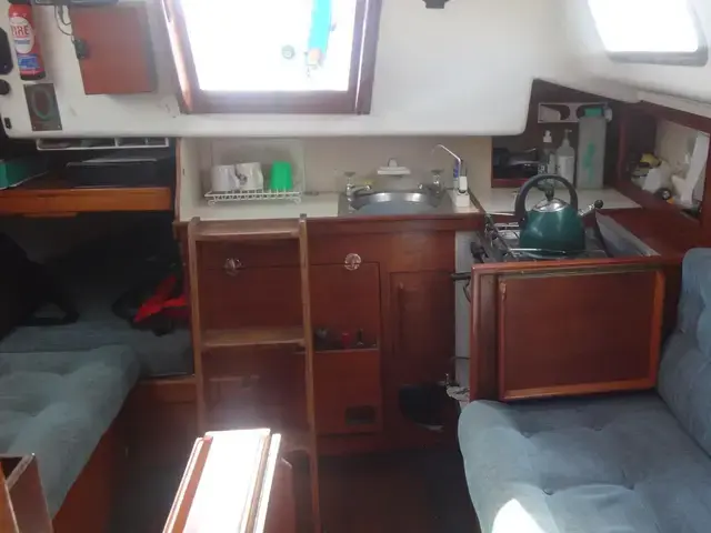 Contessa 28