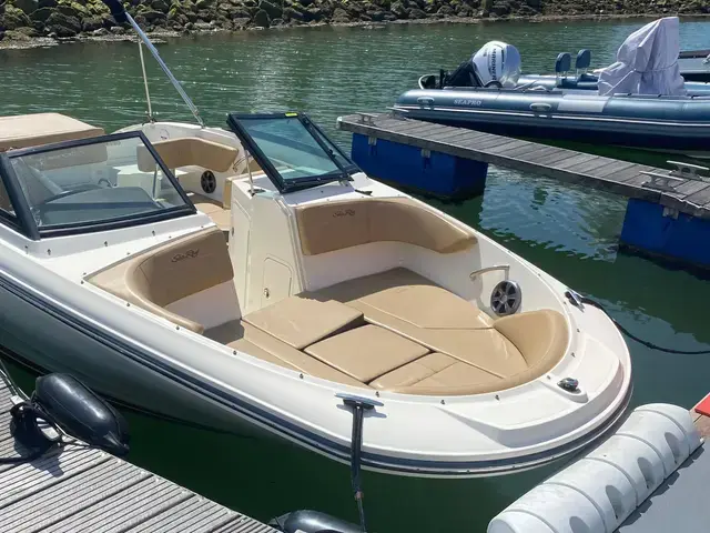 Sea Ray 190 Spx