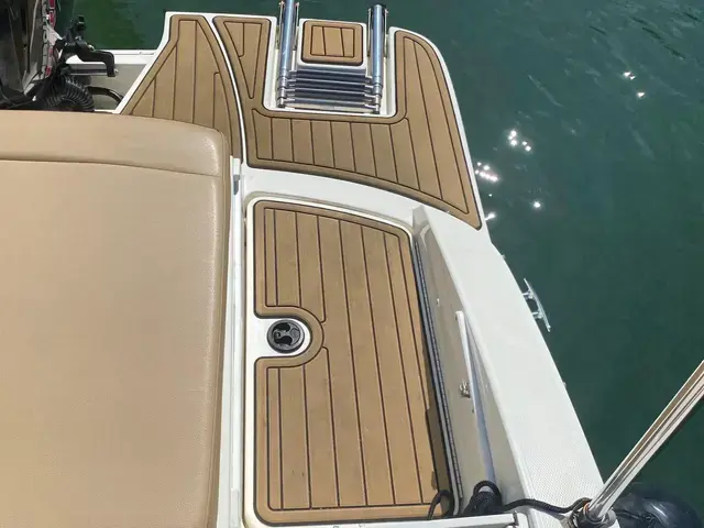 Sea Ray 190 Spx