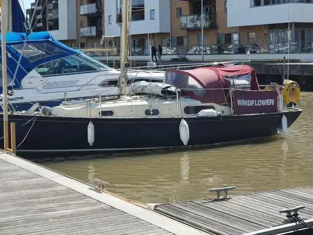 Contessa 26