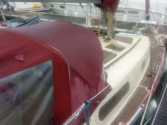 Contessa 26