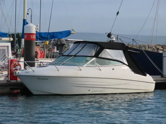 Sessa Islamorada 23