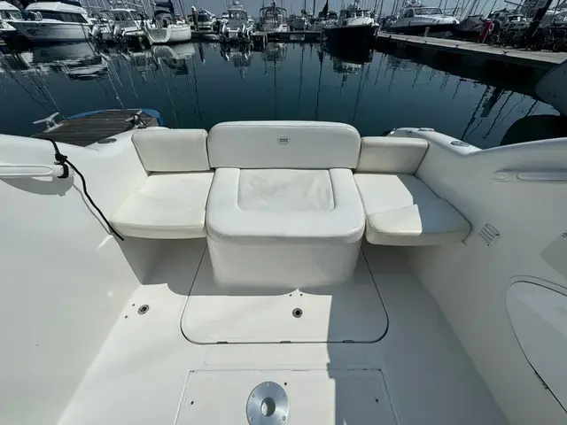 Sessa Islamorada 23