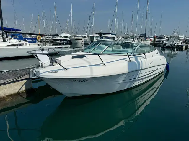 Sessa Islamorada 23