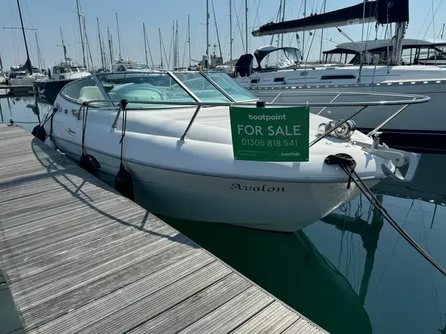 Sessa Islamorada 23