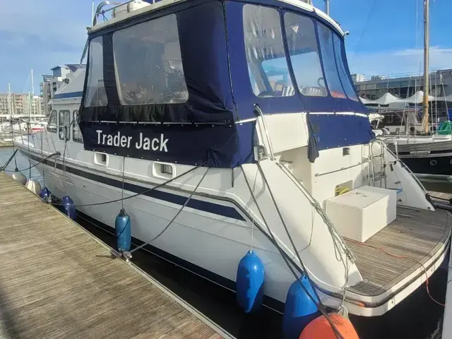 Trader 445