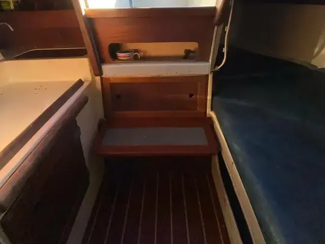 Helmsman Carrera 38