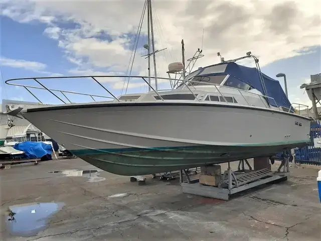 Triana Boats Tantarella