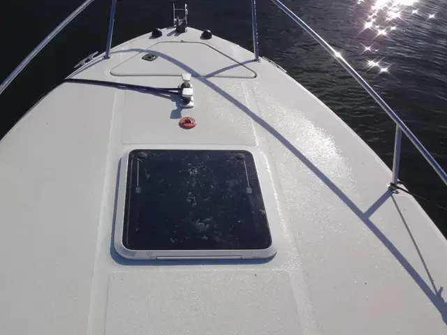 Sea Ray Sundancer 240