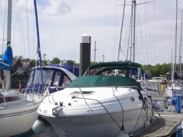 Sea Ray Sundancer 240