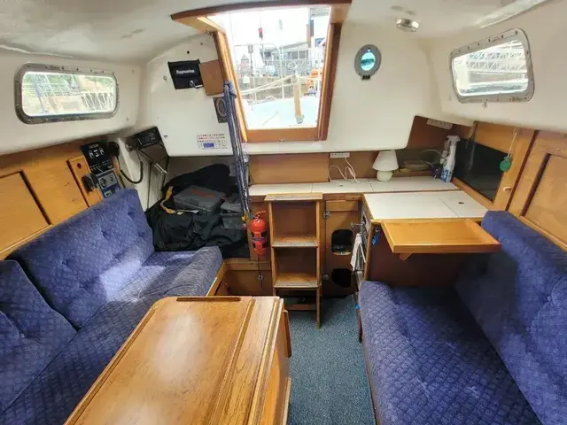 Contessa 28