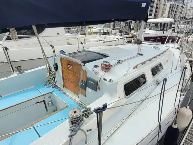 Contessa 28