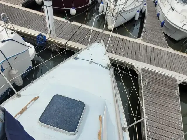 Contessa 28