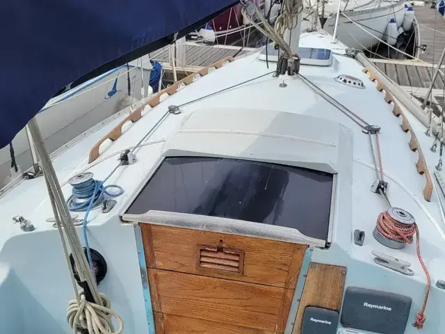 Contessa 28