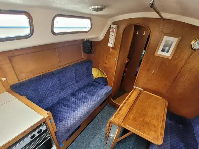 Contessa 28