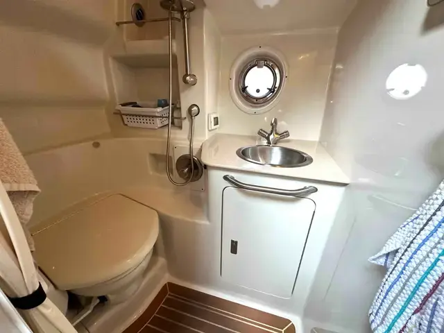 Sea Ray Sundancer 350