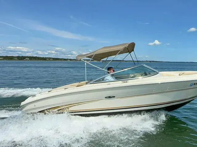 Sea Ray 210 Signature