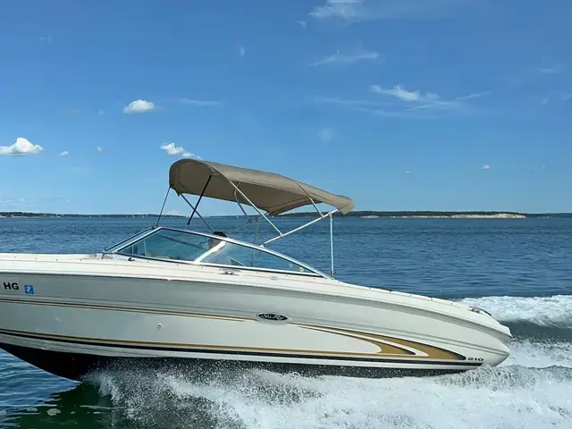 Sea Ray 210 Signature