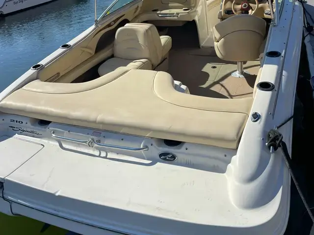 Sea Ray 210 Signature