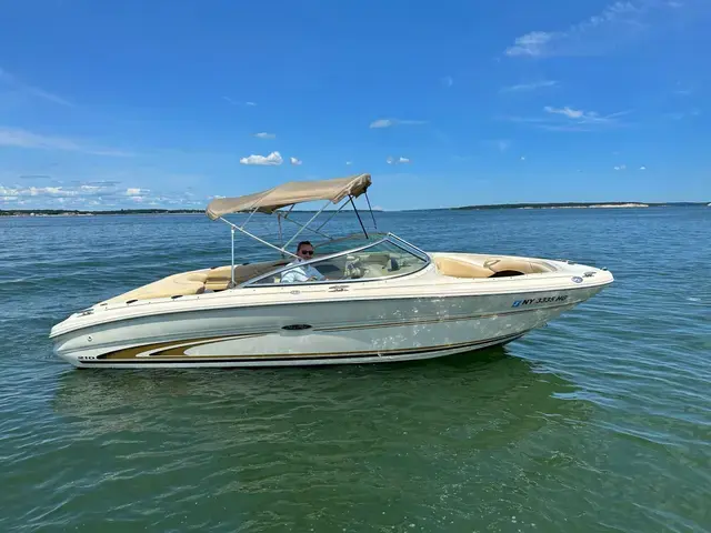 Sea Ray 210 Signature