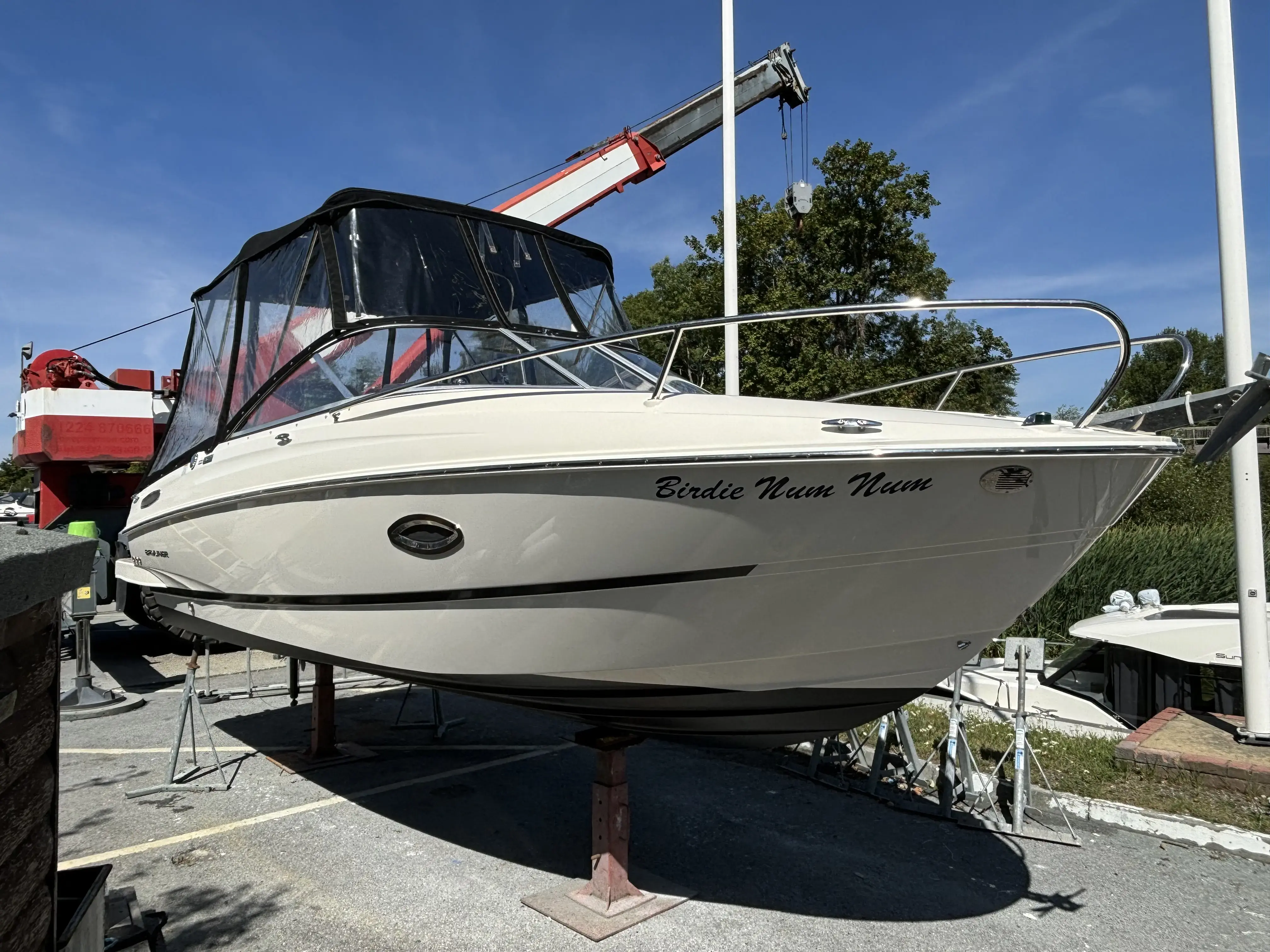 BAYLINER 642 CUDDY 2016