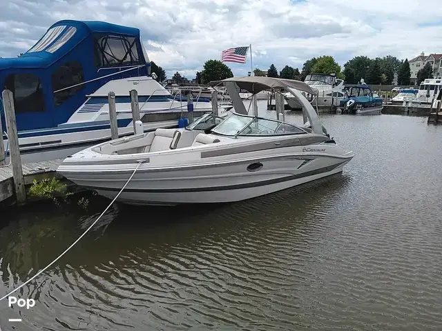 Crownline 260XSS