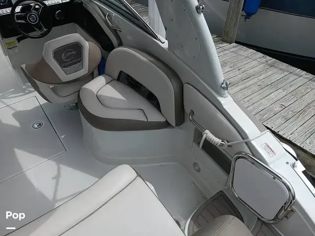 Crownline 260 Xss