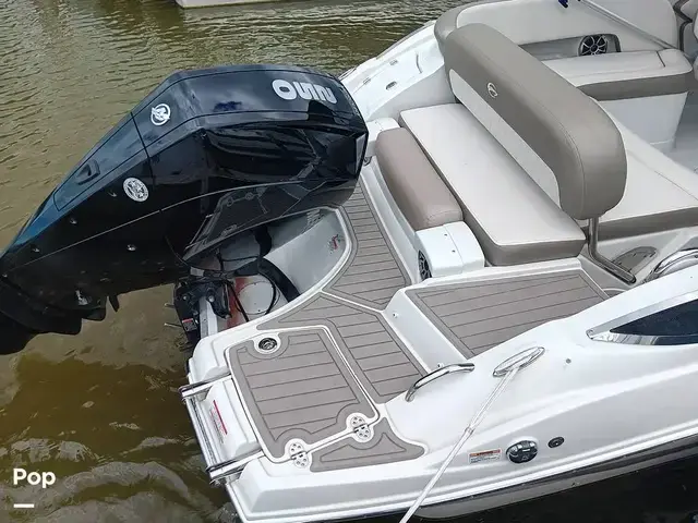 Crownline 260 Xss