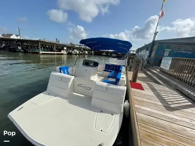 Beachcat 20'