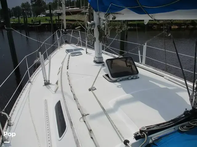 Islander 40