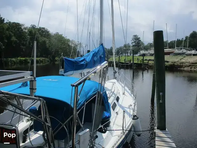 Islander 40