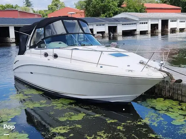 Sea Ray Sundancer 300