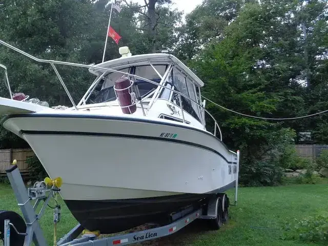 Grady White 300 Marlin