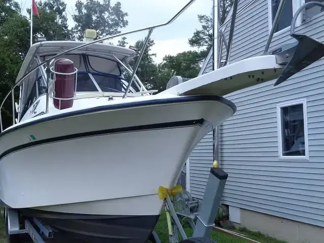 Grady White 300 Marlin