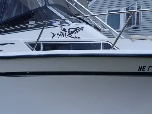 Grady White 300 Marlin