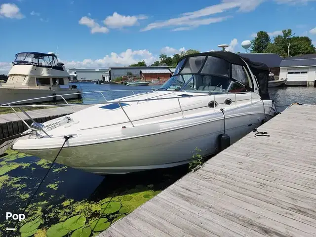 Sea Ray Sundancer 300