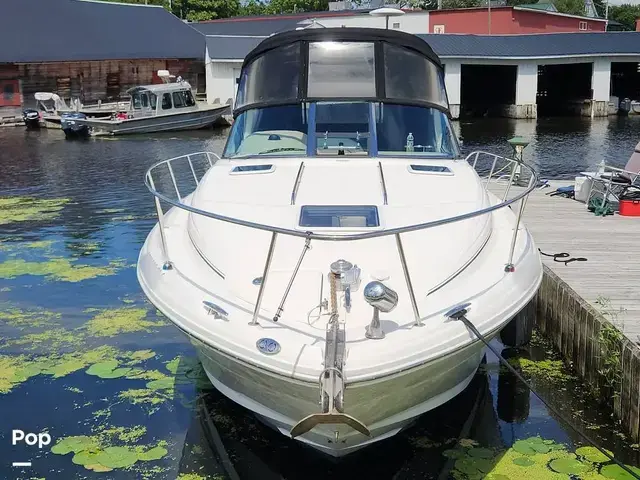 Sea Ray Sundancer 300