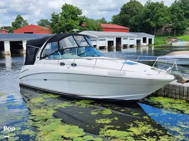 Sea Ray Sundancer 300