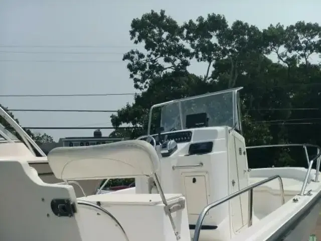 Boston Whaler DAUNTLESS