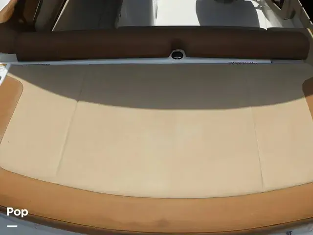 Sea Ray 240 Sundeck