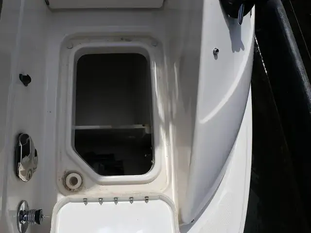 Sea Ray 240 Sundeck