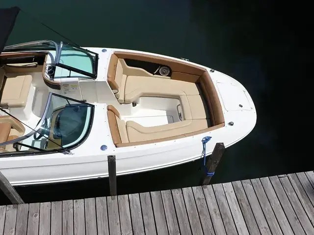 Sea Ray 240 Sundeck