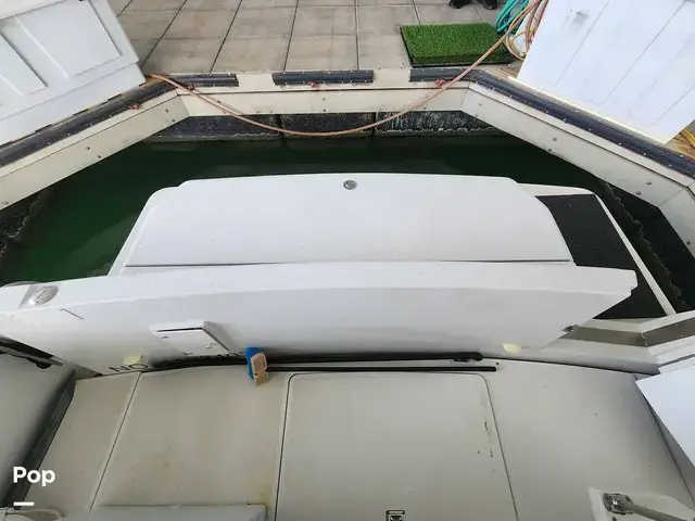 Carver 404 Cockpit Motor Yacht