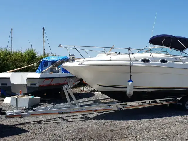 Sea Ray Sundancer 260