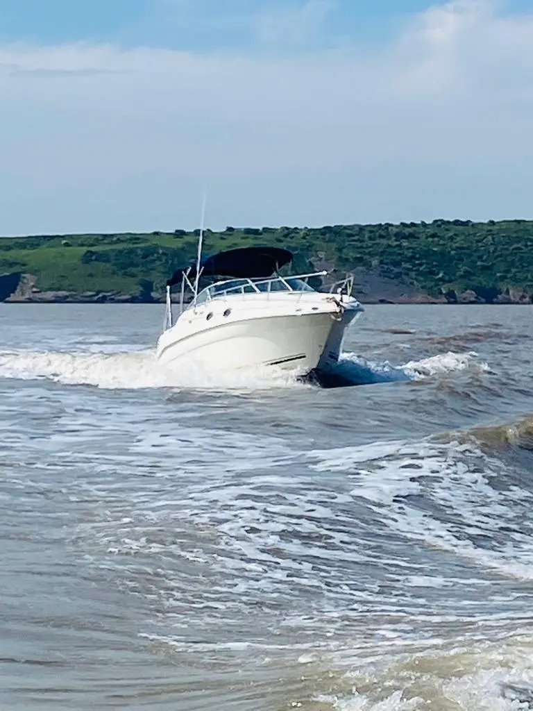 2001 Sea Ray sundancer 260