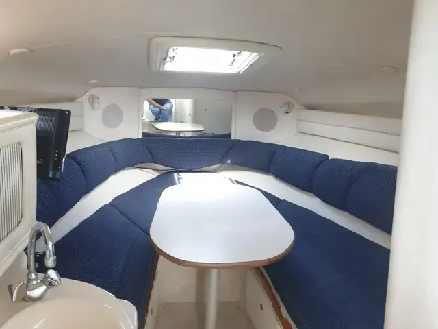 Sea Ray Sundancer 260